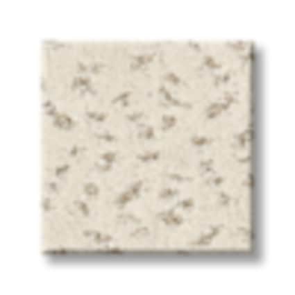 Shaw Lenox Hill Whitewash Pattern Carpet with Pet Perfect Plus-Sample